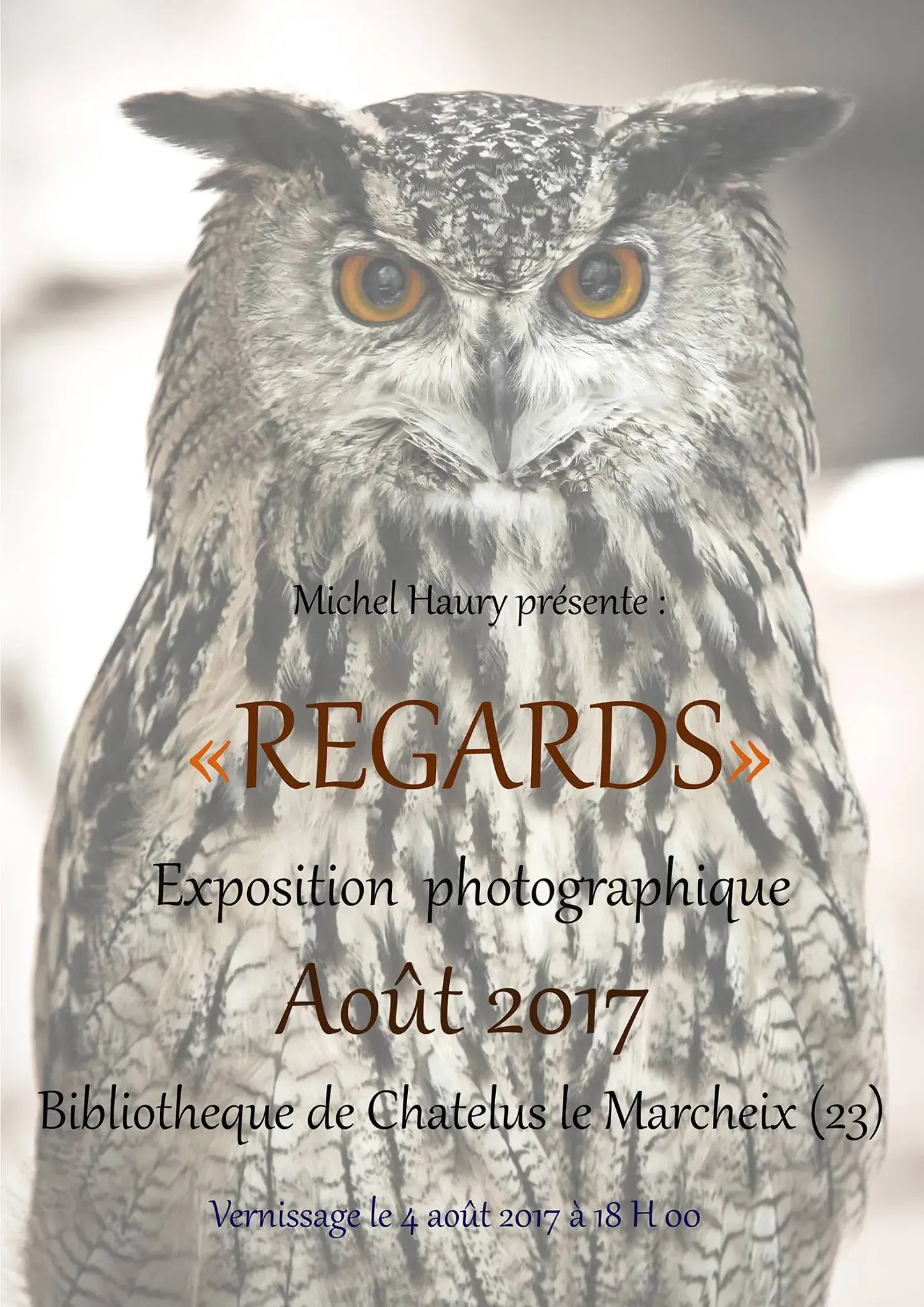 Affiche Michel Haury Photographe - exposition 2017 'Regards'