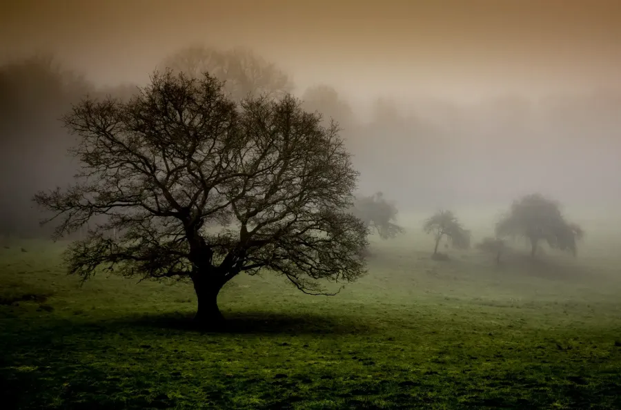 Galerie d'images de la Creuse