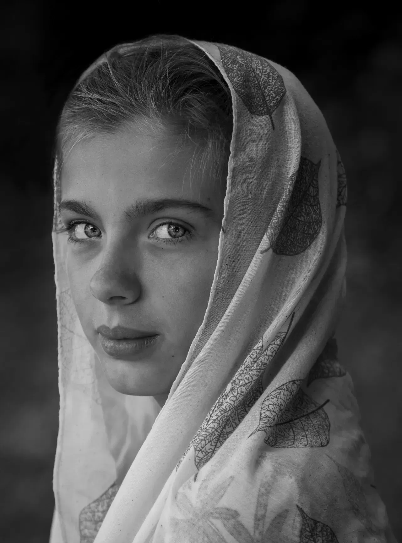 Galerie d'images de Portraits